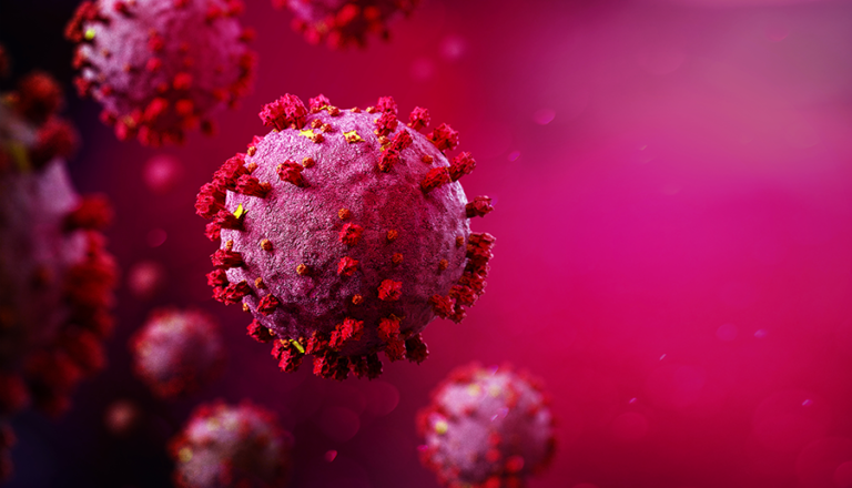 COVID-19: contributi dalla comunità scientifica