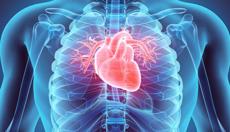 Malattie cardiovascolari